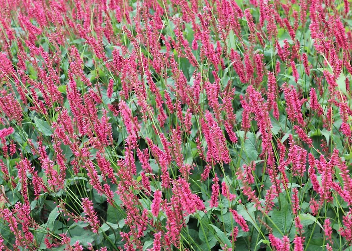 Charming Retreat For Your Escape Bemelen