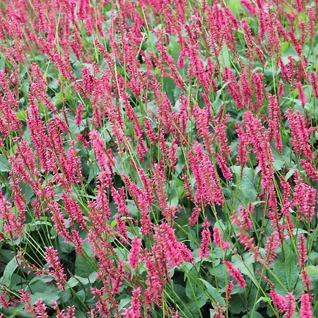 Charming Retreat For Your Escape Bemelen